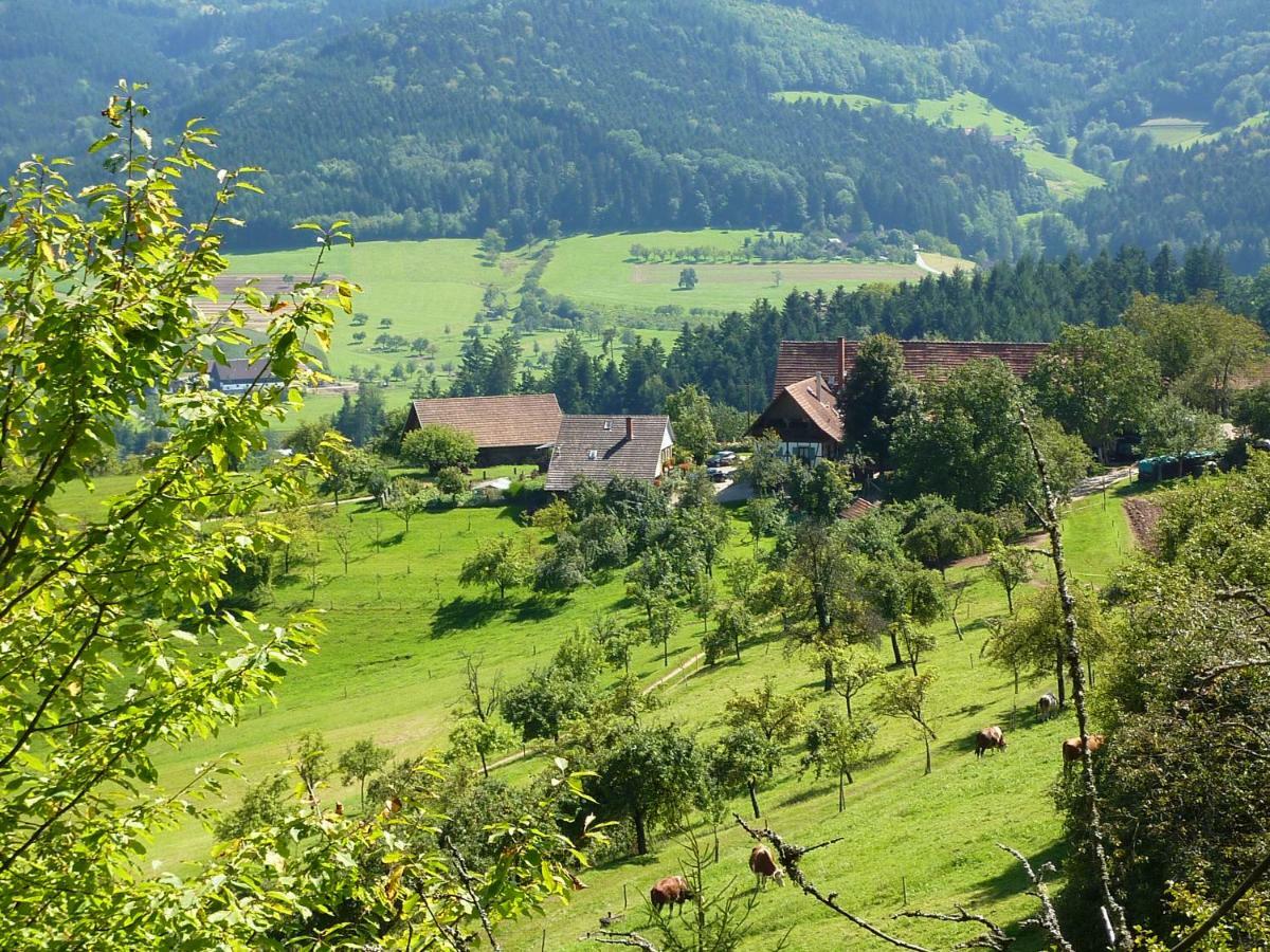 Ferienhaus Eck 泽尔阿哈莫斯巴赫 外观 照片